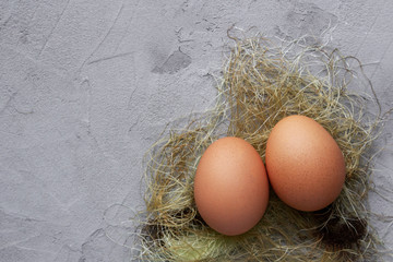 eggs in nest on gray background with copy space