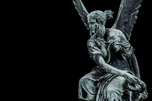 Statue Of Ancient Beautiful Winged Angel In Downtown Of Potsdam, Isolated At Black Background, Germany, Portrait, Details