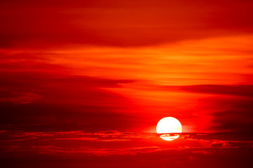 sunset and colorful flame cloud silhouette tree on red sky