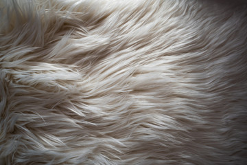 fur