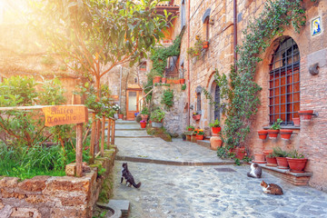 Fototapete - Beautiful alley in old town, Italy, Europe