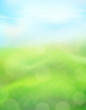 Green nature vertical background on a blurred of grass and sky and bokeh effect. View with copy space add text. Vector