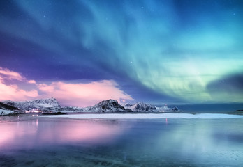 Wall Mural - aurora borealis on the lofoten islands, norway. green northern lights above ocean. night sky with po