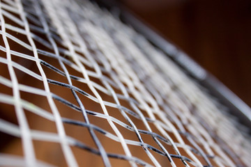 Volleyball net