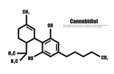 Cannabidiol or CBD molecular structural vector