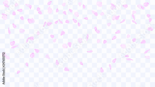Flying Rose Petals Background Of Flower Petals Confetti From