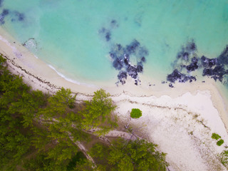 Wall Mural - Aerial view of Mauritius, Panorama of Ile aux Cerfs, the deer island.