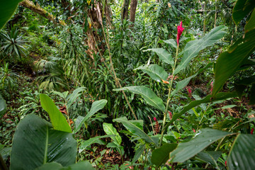 La Vanille Natural Park Mauritius