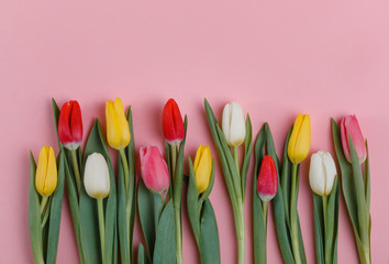 Valentine's Day background. Beautiful fresh tulips.