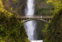 Multnomah Falls Near The Bridge