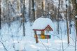 Close-up photo of empty wooden birdhouse covered with a large layer of snow, house for birds suspended from a tree, rescue of migratory birds, bird feeder/ nesting box, shelter for birds, winter park.
