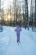 Cross-country skiing women in the sunlit forest on fresh powder snow, frosty weather, outdoor activities, langlauf/ sunset in the background, winter sports/ healthy lifestyle and sport concept.