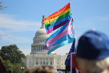 LGBTQ Flags