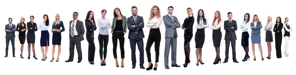 Sticker - panoramic photo of a professional numerous business team