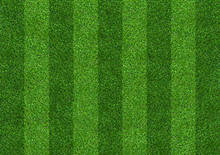 Green Grass Field Background For Soccer And Football Sports. Green Lawn Pattern And Texture Background. Close-up.
