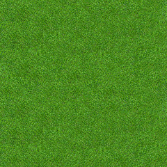 Fototapete - Green grass texture for background. Green lawn pattern and texture background. Close-up.