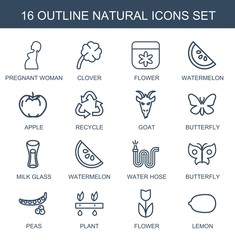 Sticker - natural icons