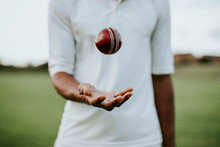 Cricket Player Ready To Throw The Ball