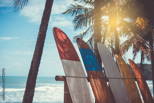 Dekoracja na wymiar  wiele-desek-surfingowych-obok-palm-kokosowych-na-letniej-plazy-ze-swiatlem-slonecznym-i-niebieskim-niebem-w-tle