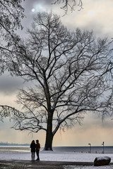 Parkanlage am Zürichsee, kalter Wintermorgen, Gegenlichtaufnahme, Stimmungsbild; Sonne und Wolken, Baum mit vielen Aesten und Zweigen, zwei Personen, schneebedeckte Rasenfläche