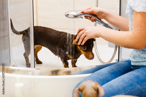 Plakat Kobieta prysznic jej psa