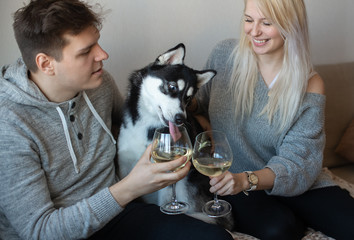 Celebrating anniversary. Young loving couple with cute husky dog sitting close to each other hugging and drinking white wine