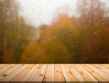 Raw Pine Planks On Autumn Rainy Day Background