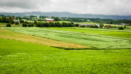 Wall Mural - Beautiful nature of Norway