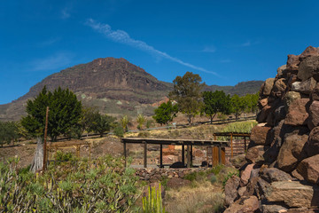 Wall Mural - Canary islands gran canaria winter day