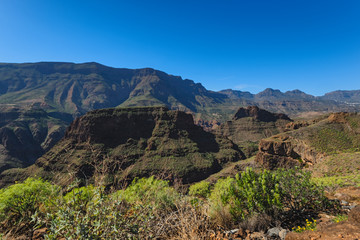 Wall Mural - Canary islands gran canaria sunny day