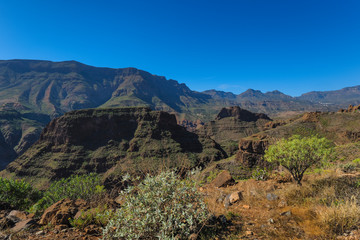 Wall Mural - Canary islands gran canaria sunny day