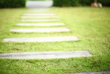 Pathway Pavement Step On Green Grass Front Yard Garden
