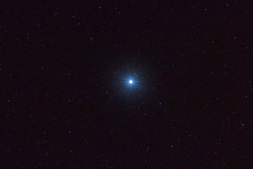 Wall Mural - sirius brightest star on night sky, sirius star