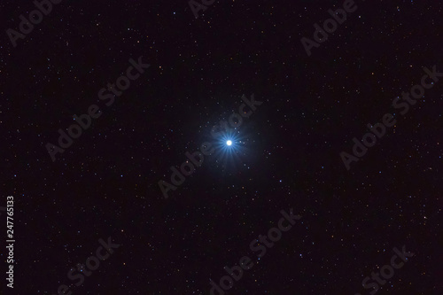 Fotomural Sirius Brightest star on Night sky, Sirius Star