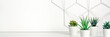 © Ester_K - Creative hipster's desk at a white wall. A natural space for hobbies and work. Succulents in front of a metal graphic board - toolbox. Panoramic copy space for text