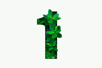 Nature concept alphabet of green leaves in number one shape 