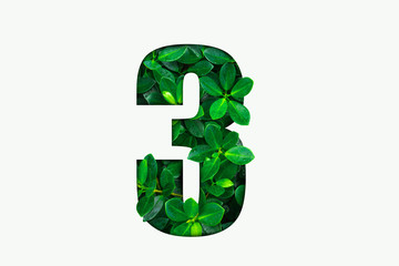 Nature concept alphabet of green leaves in number three shape 