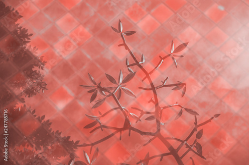 texture-reflected-tropical-tree-in-a-blue-pool-tropics-exotic-plants-in-colour-of-the-year-2019-pantone-living-coral