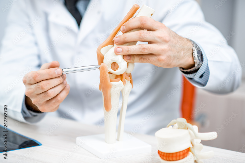 Close-up of the therapist showing knee joint model during the medical consultation - obrazy, fototapety, plakaty 
