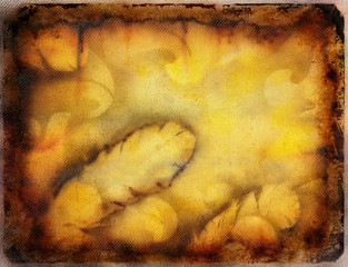 Poster - decorative graphic collage with feather motives on abstract background.