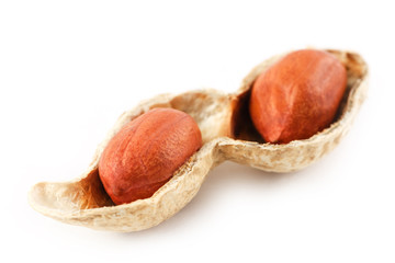 Peanuts on a peeled cob, two grains isolated on white background