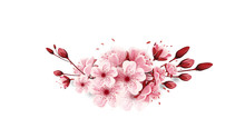 Vector Cherry Blossoms Sakura Flowers  Isolated On White Background, Flower Illustration, Lovely Greeting Cards ,invitation,brochure,banners,posters,elements