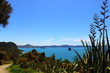 Coastline - Hahei - New Zealand