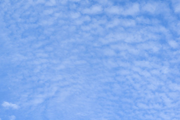 Wall Mural - clouds background white fluffy cloudscape nature background