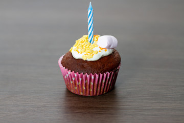 Canvas Print - cupcake with candle