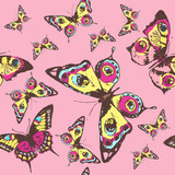Fototapeta Koty - beautiful pink butterflies, isolated  on a white