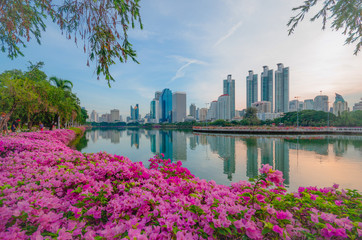 Wall Mural - cityscape morning city urban skyline modern office buildings  landmark property outdoors Thailand Asia famous and beautiful in park with water reflection and green leaves trees and flower frame.