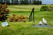 Two seagulls using the steps as ordered by the sign at a golf course in England