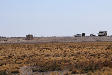 Touristen beobachten Elefanten und Zebras an einem Wasserloch