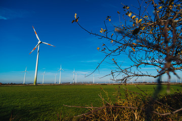 Wind Turbines sit on rolling hills. Wind turbine field generate of electrical